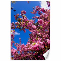 Pink Flowers Canvas 24  X 36 