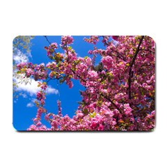 Pink Flowers Small Doormat  by trendistuff