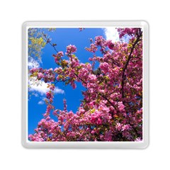 Pink Flowers Memory Card Reader (square) 