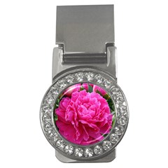 Paeonia Eleanor Money Clips (cz)  by trendistuff