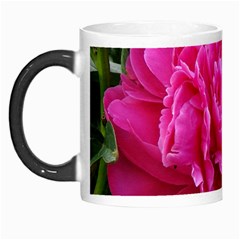 Paeonia Eleanor Morph Mugs