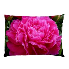 Paeonia Eleanor Pillow Cases by trendistuff