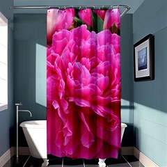 Paeonia Eleanor Shower Curtain 36  X 72  (stall) 