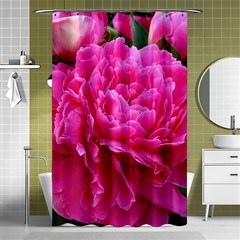 Paeonia Eleanor Shower Curtain 48  X 72  (small) 