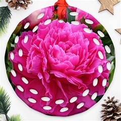 Paeonia Eleanor Ornament (round Filigree) 