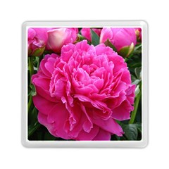 Paeonia Eleanor Memory Card Reader (square) 