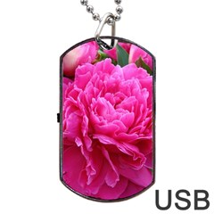 Paeonia Eleanor Dog Tag Usb Flash (two Sides) 