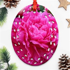 Paeonia Eleanor Ornament (oval Filigree)  by trendistuff