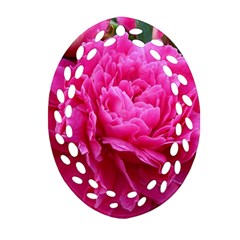 Paeonia Eleanor Oval Filigree Ornament (2-side)  by trendistuff