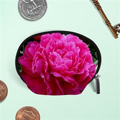 Paeonia Eleanor Accessory Pouches (small) 