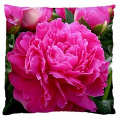 Paeonia Eleanor Standard Flano Cushion Cases (two Sides) 