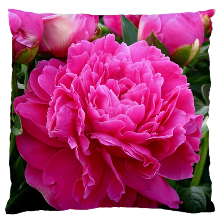 PAEONIA ELEANOR Large Flano Cushion Cases (Two Sides) 