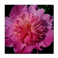 Paeonia Coral Tile Coasters