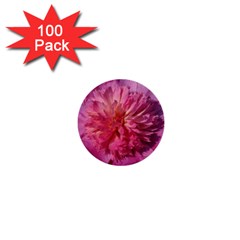 Paeonia Coral 1  Mini Buttons (100 Pack) 