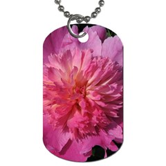 Paeonia Coral Dog Tag (one Side) by trendistuff