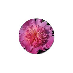 Paeonia Coral Golf Ball Marker (4 Pack) by trendistuff