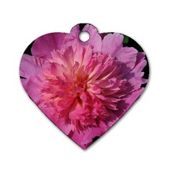 Paeonia Coral Dog Tag Heart (two Sides) by trendistuff