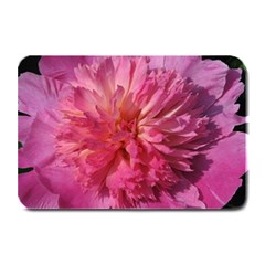 Paeonia Coral Plate Mats