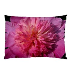 Paeonia Coral Pillow Cases