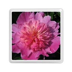 Paeonia Coral Memory Card Reader (square) 