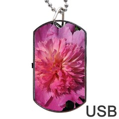 Paeonia Coral Dog Tag Usb Flash (two Sides) 