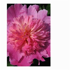 Paeonia Coral Small Garden Flag (two Sides)