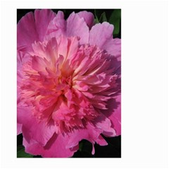 Paeonia Coral Large Garden Flag (two Sides)