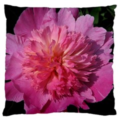 Paeonia Coral Large Flano Cushion Cases (two Sides) 