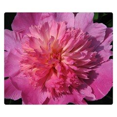 Paeonia Coral Double Sided Flano Blanket (small) 