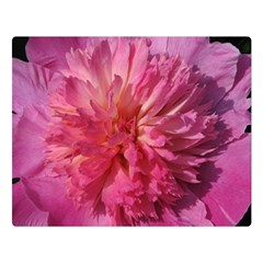 Paeonia Coral Double Sided Flano Blanket (large) 