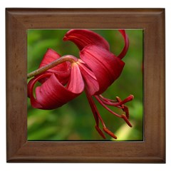 Lilium Red Velvet Framed Tiles by trendistuff