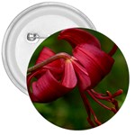 LILIUM RED VELVET 3  Buttons