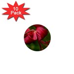 LILIUM RED VELVET 1  Mini Buttons (10 pack) 