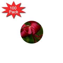 Lilium Red Velvet 1  Mini Buttons (100 Pack)  by trendistuff