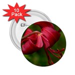 LILIUM RED VELVET 2.25  Buttons (10 pack) 