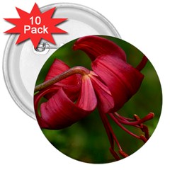 Lilium Red Velvet 3  Buttons (10 Pack) 