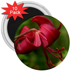 Lilium Red Velvet 3  Magnets (10 Pack)  by trendistuff