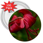 LILIUM RED VELVET 3  Buttons (100 pack) 