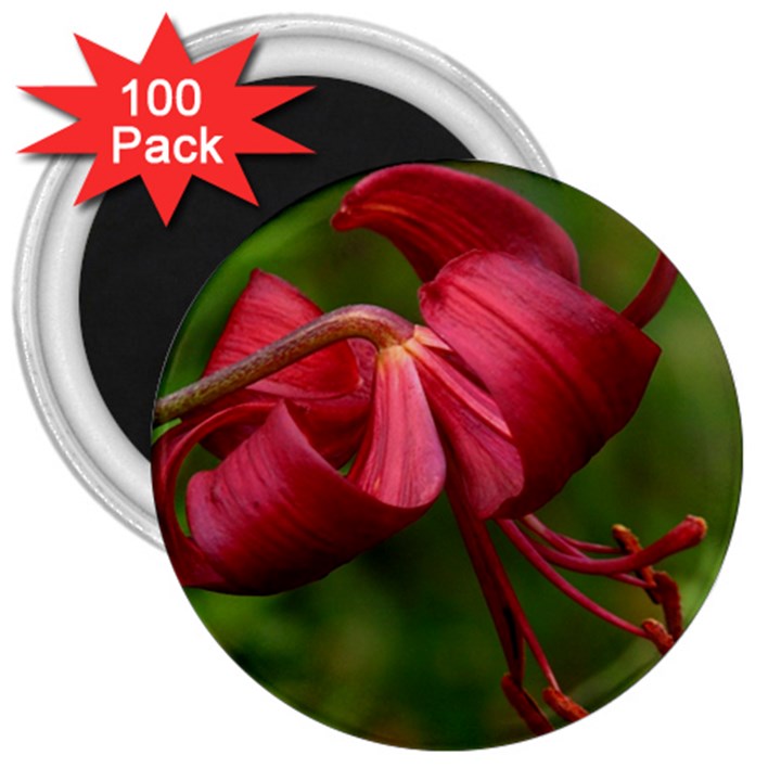 LILIUM RED VELVET 3  Magnets (100 pack)