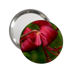 Lilium Red Velvet 2 25  Handbag Mirrors by trendistuff