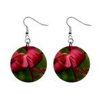 LILIUM RED VELVET Mini Button Earrings