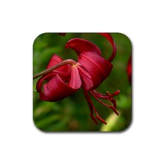 Lilium Red Velvet Rubber Coaster (square) 