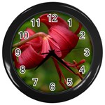 LILIUM RED VELVET Wall Clocks (Black)