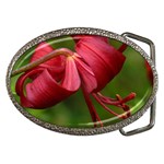 LILIUM RED VELVET Belt Buckles