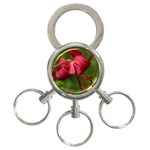 LILIUM RED VELVET 3-Ring Key Chains