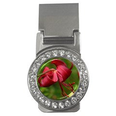 Lilium Red Velvet Money Clips (cz)  by trendistuff