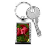 LILIUM RED VELVET Key Chains (Rectangle) 