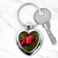 Lilium Red Velvet Key Chains (heart) 