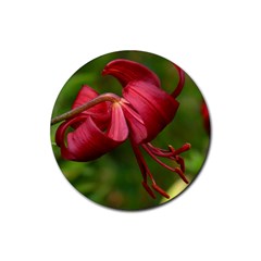 Lilium Red Velvet Rubber Round Coaster (4 Pack)  by trendistuff