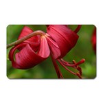 LILIUM RED VELVET Magnet (Rectangular)